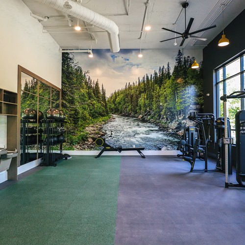fitness center equipment and nature mural