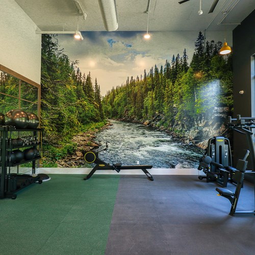 fitness center with nature mural